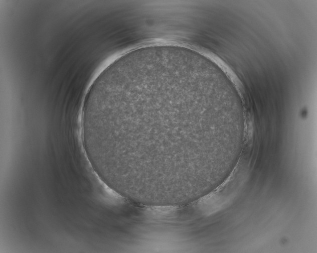 X0000116601294201001221250