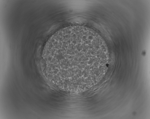 X0000116601297201001221249