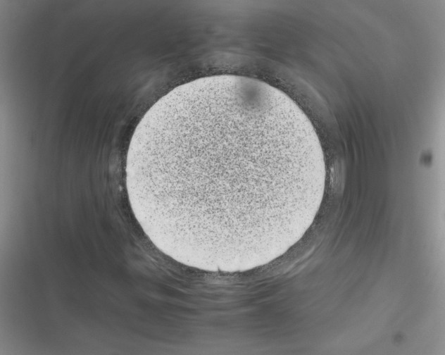 X0000116601299201001221249
