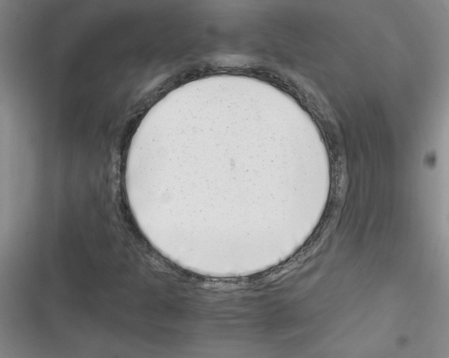 X0000116601301201001221249