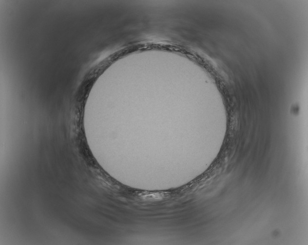 X0000116601303201001221249