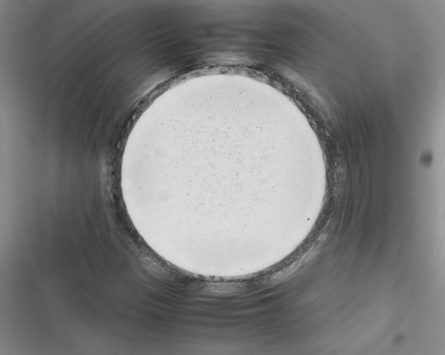 X0000116601305201001221249