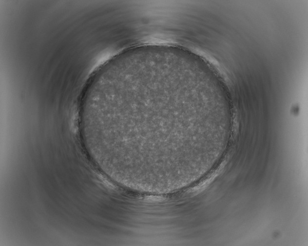 X0000116601306201001221249