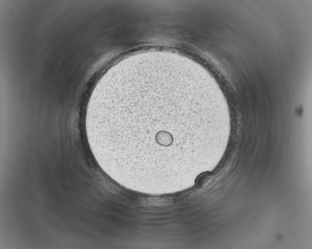 X0000116601307201001221249