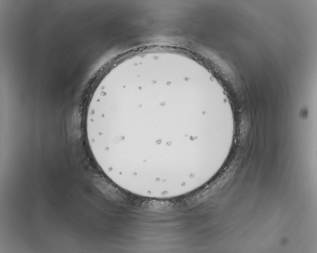 X0000116601310201001221249