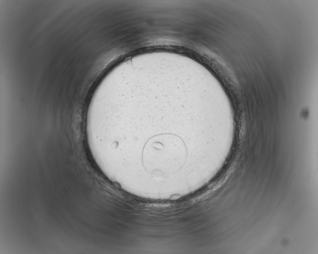 X0000116601313201001221249