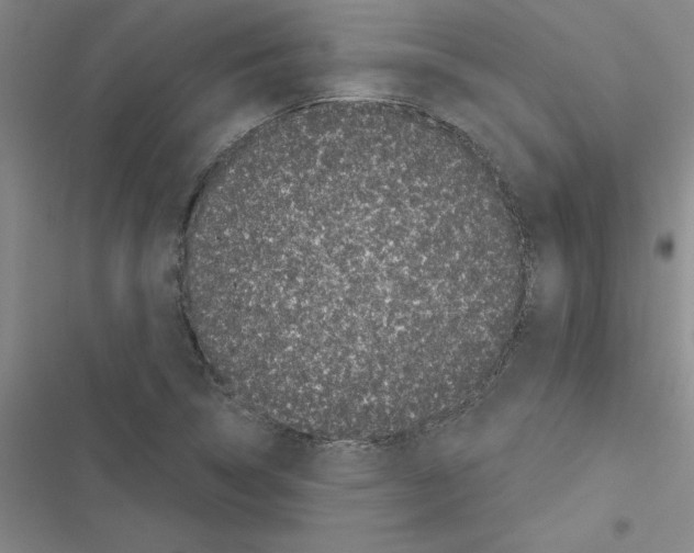 X0000116601314201001221249