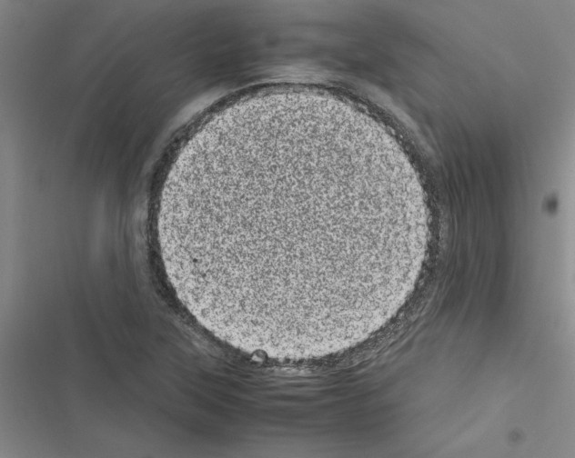 X0000116601315201001221249