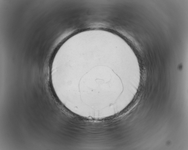 X0000116601317201001221249