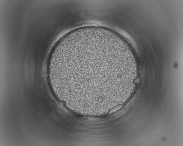 X0000116601318201001221249