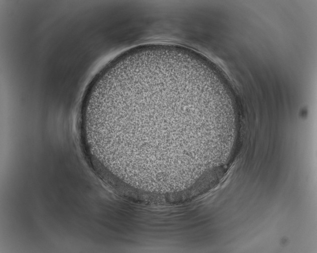 X0000116601319201001221249