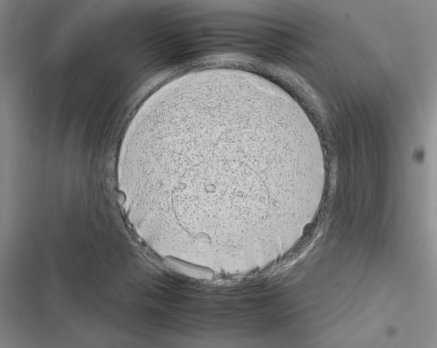 X0000116601321201001221249