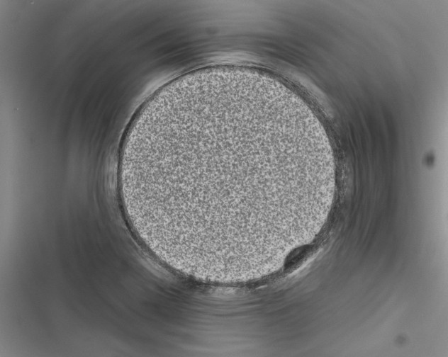 X0000116601322201001221249