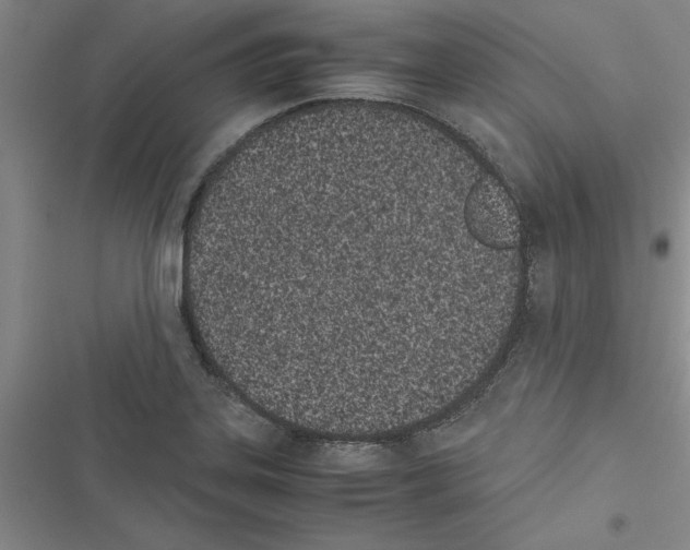 X0000116601323201001221249