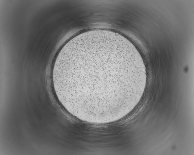 X0000116601325201001221249