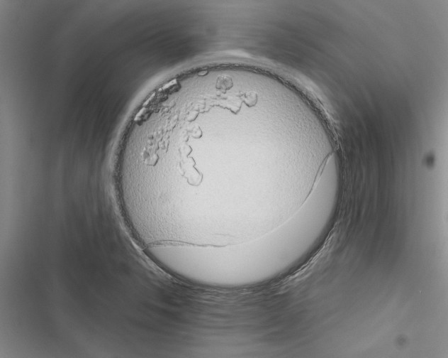 X0000116601326201001221249