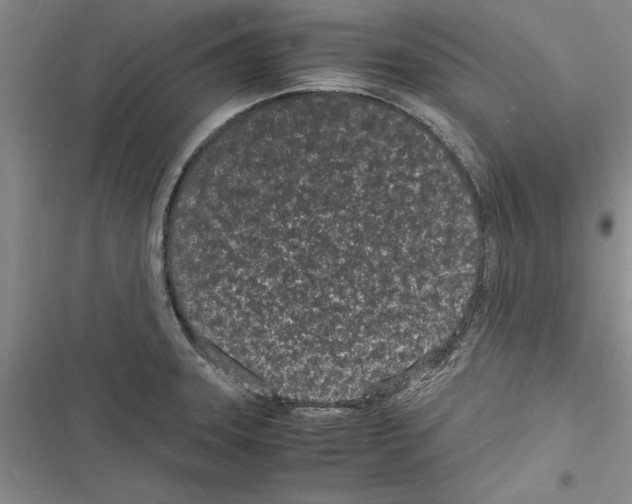 X0000116601331201001221250