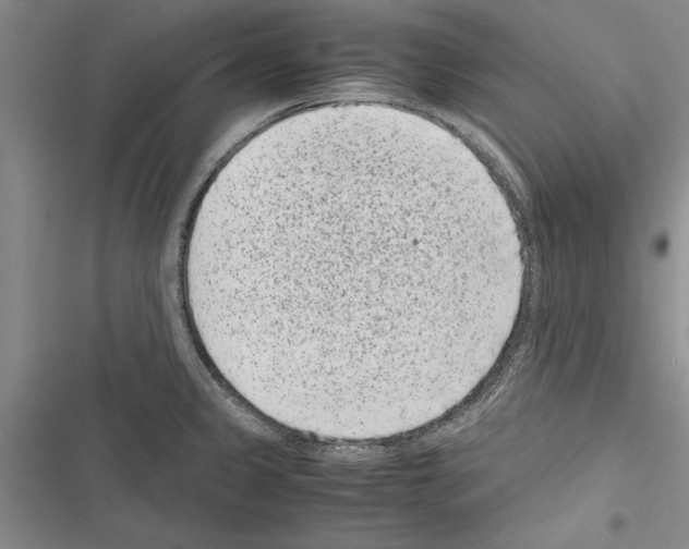 X0000116601333201001221250