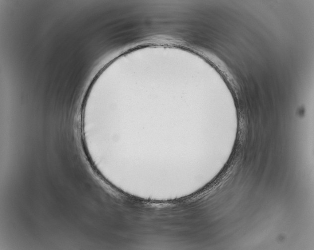 X0000116601335201001221250