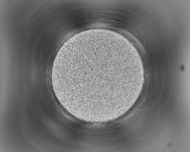 X0000116601337201001221250