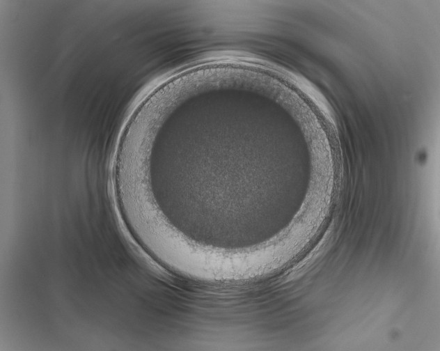 X0000116601338201001221250