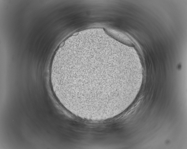 X0000116601341201001221250