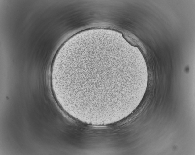 X0000116601343201001221250