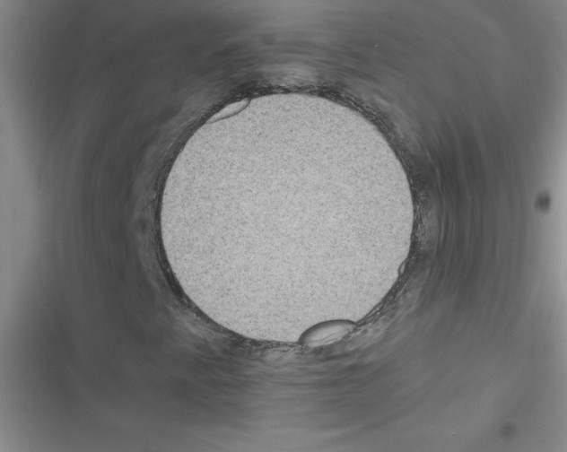 X0000116601345201001221249
