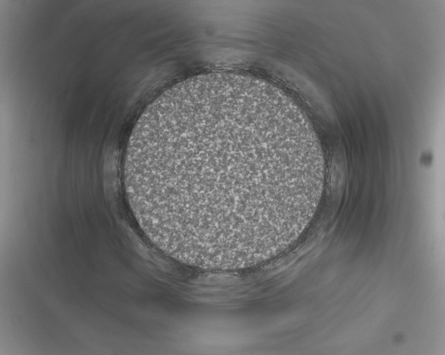X0000116601346201001221249