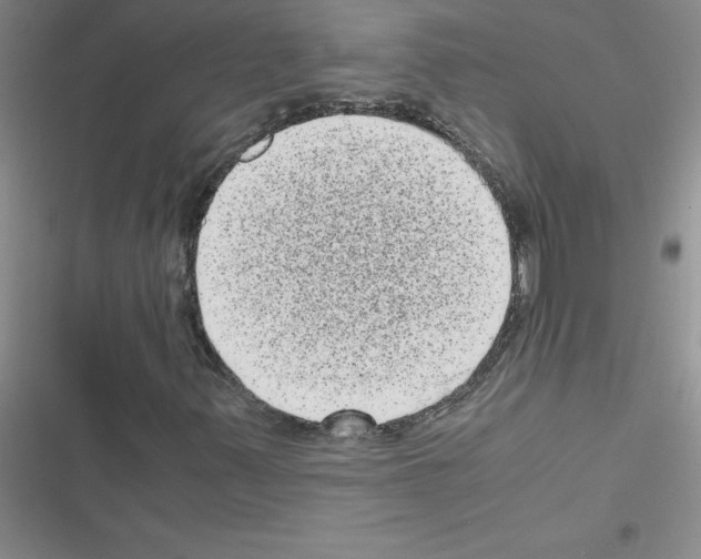 X0000116601347201001221249
