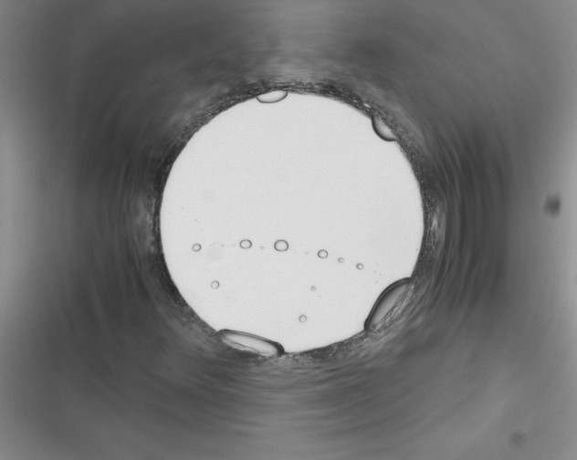 X0000116601348201001221249