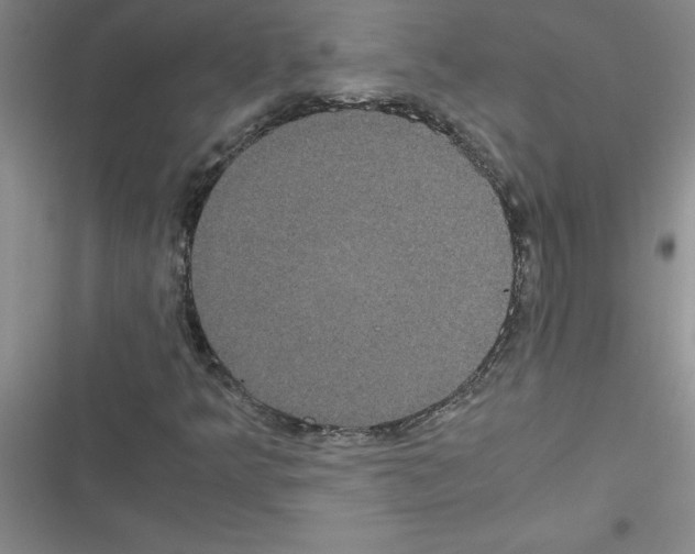 X0000116601349201001221249