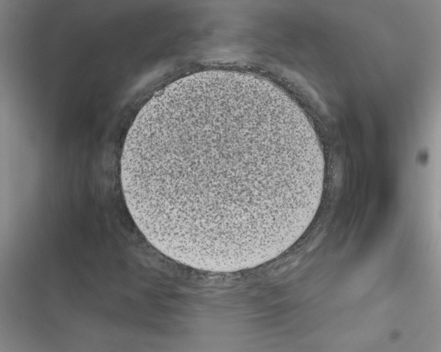 X0000116601350201001221249
