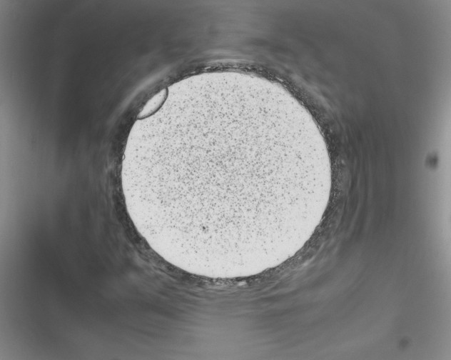 X0000116601351201001221249
