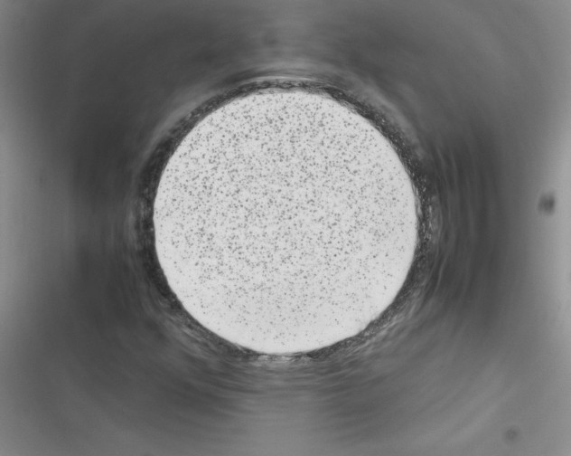 X0000116601352201001221249