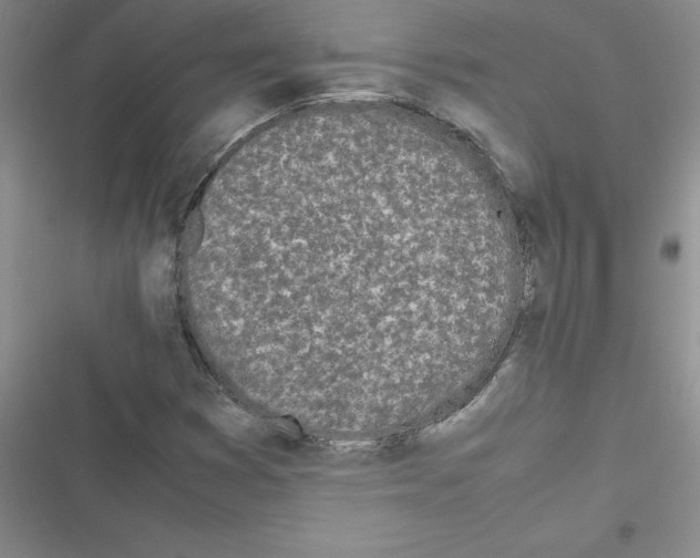 X0000116601353201001221249