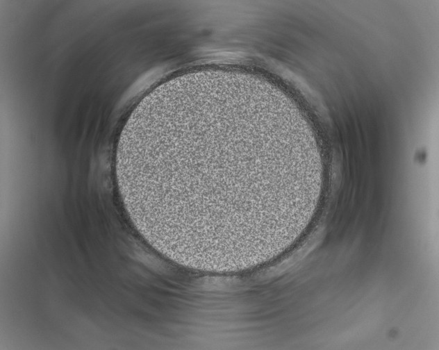 X0000116601354201001221249