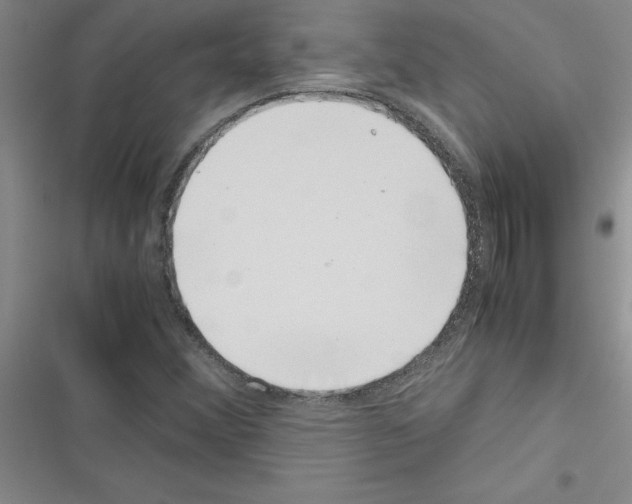 X0000116601356201001221249