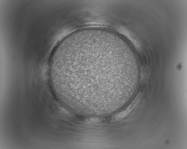 X0000116601357201001221249