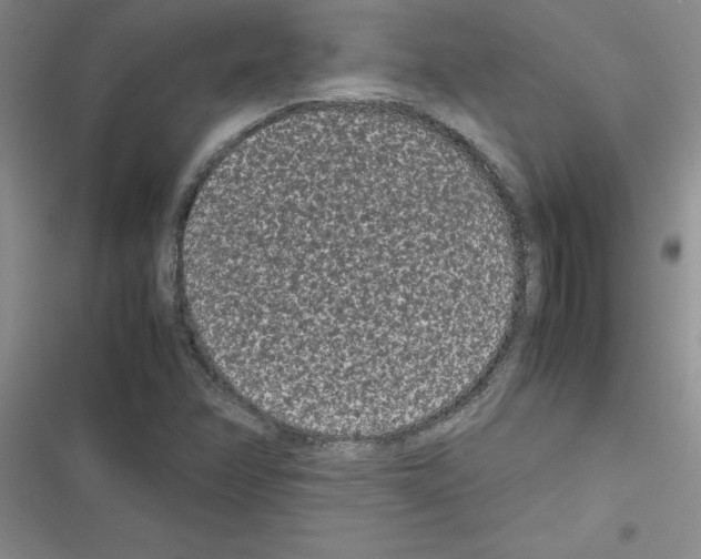 X0000116601358201001221249