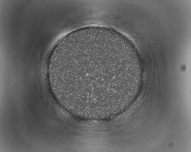 X0000116601359201001221249