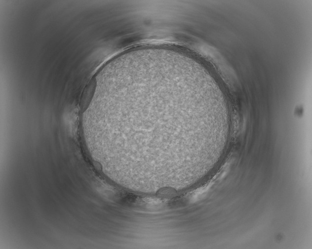 X0000116601361201001221249