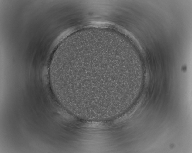 X0000116601362201001221249