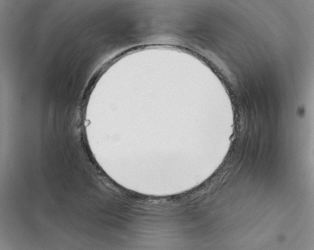 X0000116601364201001221249