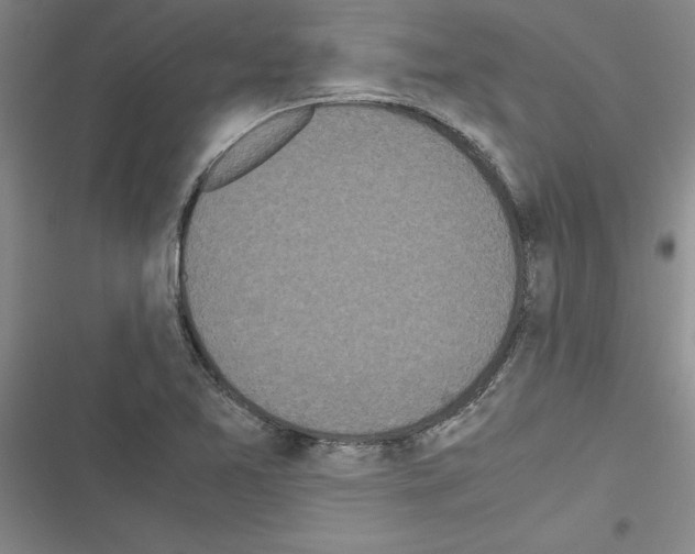 X0000116601365201001221249
