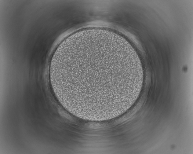 X0000116601366201001221249