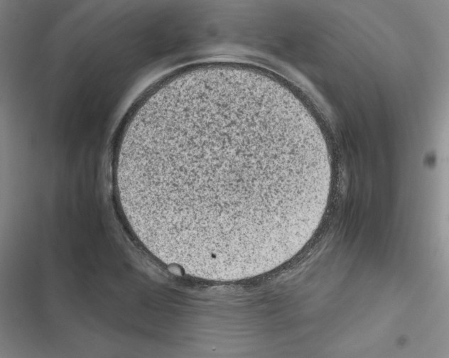 X0000116601368201001221249