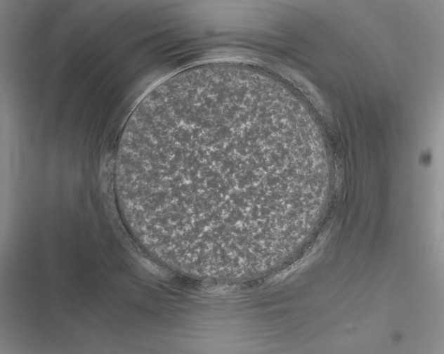 X0000116601369201001221249