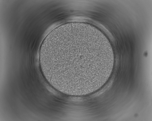 X0000116601370201001221249