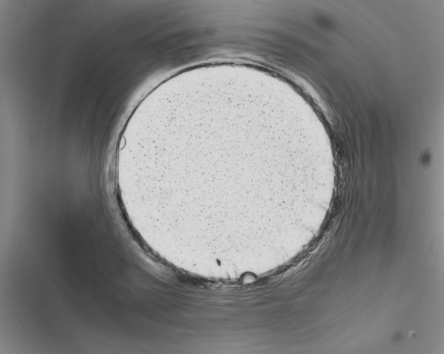 X0000116601371201001221249